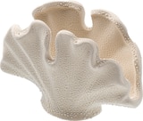Dekoobjekt aus Porzellan "Muschel", offwhite (7,5x14,6x9,8 cm) Angebote von Dekorieren & Einrichten bei dm-drogerie markt Cuxhaven für 4,95 €