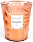 Aktuelle Kerzen Angebote bei Thomas Philipps in Dortmund Aktuelles Citronella-Kerze im Glas Angebot bei Thomas Philipps in Dortmund ab 6,99 €