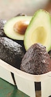 Promo Avocat Affiné Pérou à 2,49 € dans le catalogue Intermarché à Vauvert