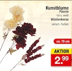 Kunstblume Päonie oder Wüstenkerze im Angebot bei Zimmermann in Gronau Kunstblume Päonie oder Wüstenkerze Angebote bei Zimmermann Gronau für 2,99 €