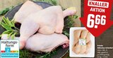 Frische Hähnchen-Schenkel natur Angebote bei REWE Ettlingen für 6,66 €