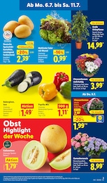 Obst im Lidl Prospekt Obst im Lidl Prospekt LIDL LOHNT SICH auf S. 3