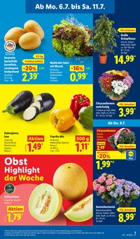 Gemüse im aktuellen Lidl Prospekt (München) Gemüse im Lidl Prospekt "LIDL LOHNT SICH" mit 62 Seiten (München)