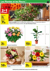 Chrysanthèmes Angebote im Prospekt "LE MOIS MONOPOLY" von Carrefour auf Seite 67
