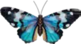 Dekofigur Schmetterling im Angebot bei Möbel AS in Pirmasens Dekofigur Schmetterling Angebote bei Möbel AS Pirmasens für 4,95 €