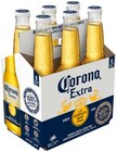 Mexican Beer im Angebot bei REWE in Kornwestheim Mexican Beer Angebote von Corona bei REWE Kornwestheim für 6,49 €