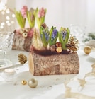 Bûche 3 jacinthes avec décors - Intermarché Hyper Bûche 3 jacinthes avec décors à 12,99 € dans le catalogue Intermarché Hyper