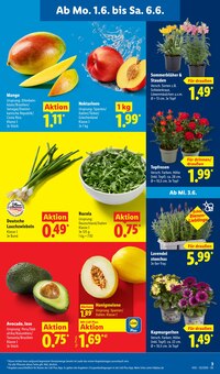 Pflanzen im aktuellen Lidl Prospekt (Freiburg (Breisgau)) Pflanzen im Lidl Prospekt "LIDL LOHNT SICH" mit 71 Seiten (Freiburg (Breisgau))