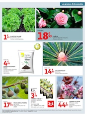 Prospectus Auchan Hypermarché "FÊTONS PÂQUES" en cours à Aix-en-Provence, Page 33 Catalogue Auchan Hypermarché en cours à Aix-en-Provence, "FÊTONS PÂQUES", Page 33