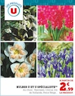 Promo Bulbes à 2,99 € dans le catalogue Super U à Lostanges