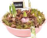 Aktuelles Frühlings-Mix „Pastell“ Angebot bei Hornbach in Dresden ab 9,99 €