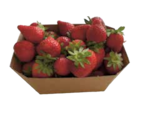 Aktuelle Erdbeeren Angebote bei EDEKA in Lübeck Aktuelles Erdbeeren Angebot bei EDEKA in Lübeck ab 5,99 €