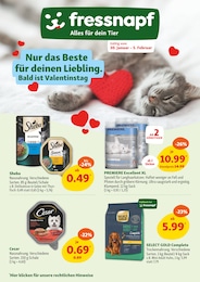 Fressnapf Prospekt für Hagen (Stadt der FernUniversität): "Nur das Beste für deinen Liebling. Bald ist Valentinstag", 12 Seiten, 30.01.2025 - 05.02.2025