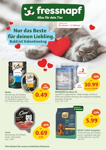 Fressnapf Prospekt Nur das Beste für deinen Liebling. Bald ist Valentinstag mit 12 Seiten