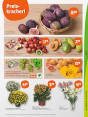 Aktueller tegut Prospekt mit Blumen, "tegut… gute Lebensmittel", Seite 5