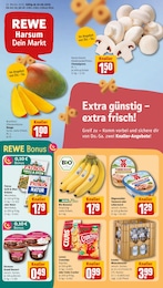 Aktueller REWE Discounter Prospekt fĂŒr Harsum 16.06.2025 - 21.06.2025 REWE Prospekt fĂŒr Harsum mit 34 Seiten