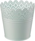 dm-drogerie markt - Blumentopf aus Metall mit Spitze mint Angebot im Prospekt Blumentopf aus Metall mit Spitze mint bei dm-drogerie markt im Prospekt "Aktuelle Angebote" für 2,95 €