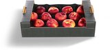 Nektarinen im Angebot bei Netto Marken-Discount in Bottrop Nektarinen Angebote bei Netto Marken-Discount Bottrop für 3,99 €