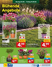 Garten im Netto Marken-Discount Prospekt in Neunkirchen Aktueller Netto Marken-Discount Prospekt mit Garten, "Aktuelle Angebote", Seite 59