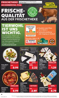 Käse im aktuellen Kaufland Prospekt (Oldenburg) Käse im Kaufland Prospekt "Aktuelle Angebote" mit 52 Seiten (Oldenburg)