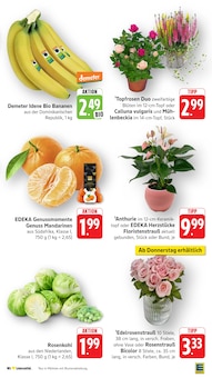 Bananen im EDEKA Prospekt "Aktuelle Angebote" mit 50 Seiten (Koblenz)