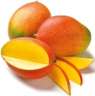 Mango vorgereift im aktuellen Netto mit dem Scottie Prospekt