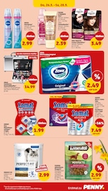 Katzenfutter im Penny Prospekt in Hoyerswerda Aktueller Penny Prospekt mit Katzenfutter, "Wer günstig will, muss Penny.", Seite 39
