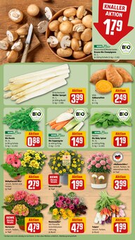 Spargel im REWE Prospekt "Dein Markt" mit 26 Seiten (Hildesheim)