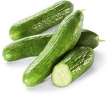 Aktuelle Gemüse Angebote bei Netto Marken-Discount in Siegen (Universitätsstadt) Aktuelles Minigurken Angebot bei Netto Marken-Discount in Siegen (Universitätsstadt) ab 1,99 €