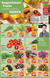 Tierbedarf im REWE Prospekt Tierbedarf im REWE Prospekt Dein Markt auf S. 7