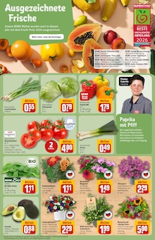 Blumen im REWE Prospekt "Dein Markt" mit 30 Seiten (Augsburg)