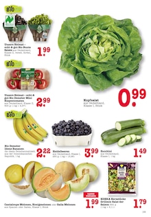 Zucchini im E center Prospekt "Aktuelle Angebote" mit 39 Seiten (Frankfurt (Main))