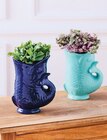 Plantes Vertes - Super U à Istres Plantes Vertes en promo chez Super U Istres à 7,99 €