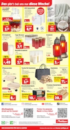 Pflanzenroller Angebot & Preis im aktuellen Thomas Philipps Prospekt Pflanzenroller Angebot im aktuellen Thomas Philipps Prospekt auf Seite 14