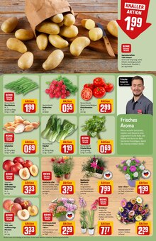 Tomaten im aktuellen REWE Prospekt (Braunschweig) Tomaten im REWE Prospekt "Dein Markt" mit 34 Seiten (Braunschweig)