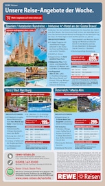 Ähnliche Linoleum Angebote im Prospekt "Dein Markt" von REWE in Freiburg Ähnliche Angebote wie Linoleum im Prospekt "Dein Markt" auf Seite 25 von REWE in Freiburg