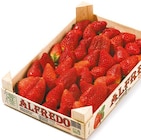 Erdbeeren von Alfredo im aktuellen Netto mit dem Scottie Prospekt für 6,99 €