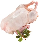 Frische junge bayr. Ente Angebote bei REWE Aalen für 6,99 €