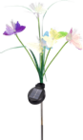 Gartenstecker Blume Solar im Angebot bei Möbel AS in Aalen Gartenstecker Blume Solar Angebote bei Möbel AS Aalen für 4,95 €