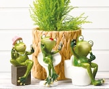 Deko-Figur Frosch Angebote bei Netto mit dem Scottie Potsdam für 5,99 €