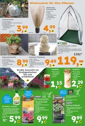 Ähnliche Strandmuschel Angebote im Prospekt "Immer eine Idee besser" von Globus-Baumarkt in Pforzheim Ähnliche Angebote wie Strandmuschel im Prospekt "Immer eine Idee besser" auf Seite 9 von Globus-Baumarkt in Pforzheim