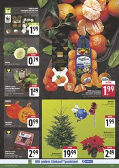 Ähnliche Balkonpflanzen Angebote im Prospekt "Wir lieben Lebensmittel!" von E center in Suhl Ähnliche Angebote wie Balkonpflanzen im Prospekt "Wir lieben Lebensmittel!" auf Seite 3 von E center in Suhl