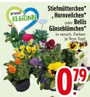 Stiefmütterchen, Hornveilchen oder Bellis Gänseblümchen Angebote bei EDEKA Augsburg für 0,79 €