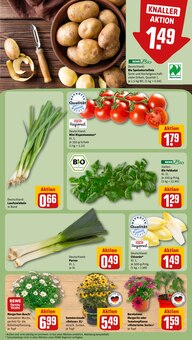 Kartoffeln im REWE Prospekt "Dein Markt" mit 18 Seiten (Nürnberg)