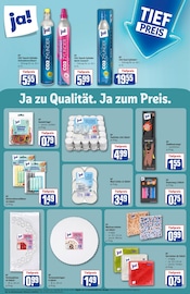 Deko im REWE Prospekt in Bensheim Aktueller REWE Prospekt mit Deko, "Dein Markt", Seite 43