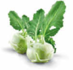 Aktuelle Gemüse Angebote bei Netto Marken-Discount in Oldenburg Aktuelles Kohlrabi Angebot bei Netto Marken-Discount in Oldenburg ab 0,55 €