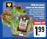 Aktuelles Salatrio mit Wurzelballen Angebot bei E center in Dresden ab 1,99 €