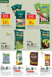 Offre Cheval dans le catalogue Espace Emeraude du moment à la page 4