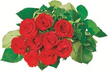 9 roses** - Carrefour Market à Nanterre 9 roses** en promo chez Carrefour Market Nanterre à 6,99 €