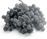 Trauben Mix im Angebot bei Netto Marken-Discount in Frankfurt Trauben Mix Angebote bei Netto Marken-Discount Frankfurt für 1,95 €